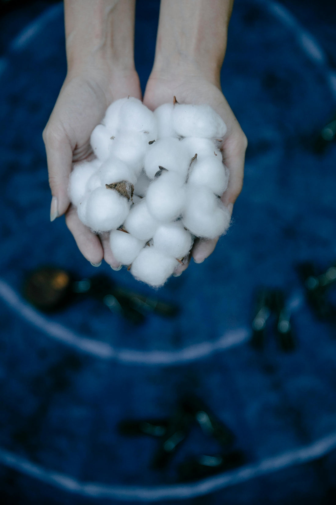 Image of hands holding cotton over a bucket 